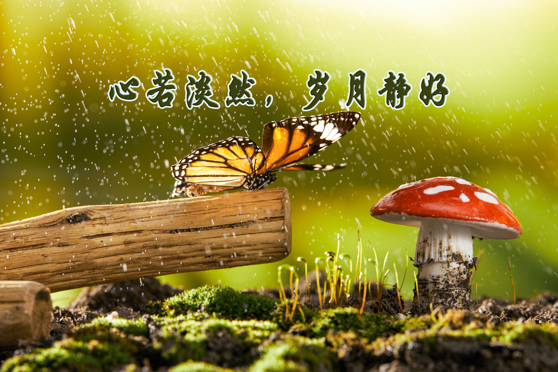 开云体育登录-逆水行舟不进则退，河北队拼搏赢得晋级胜利